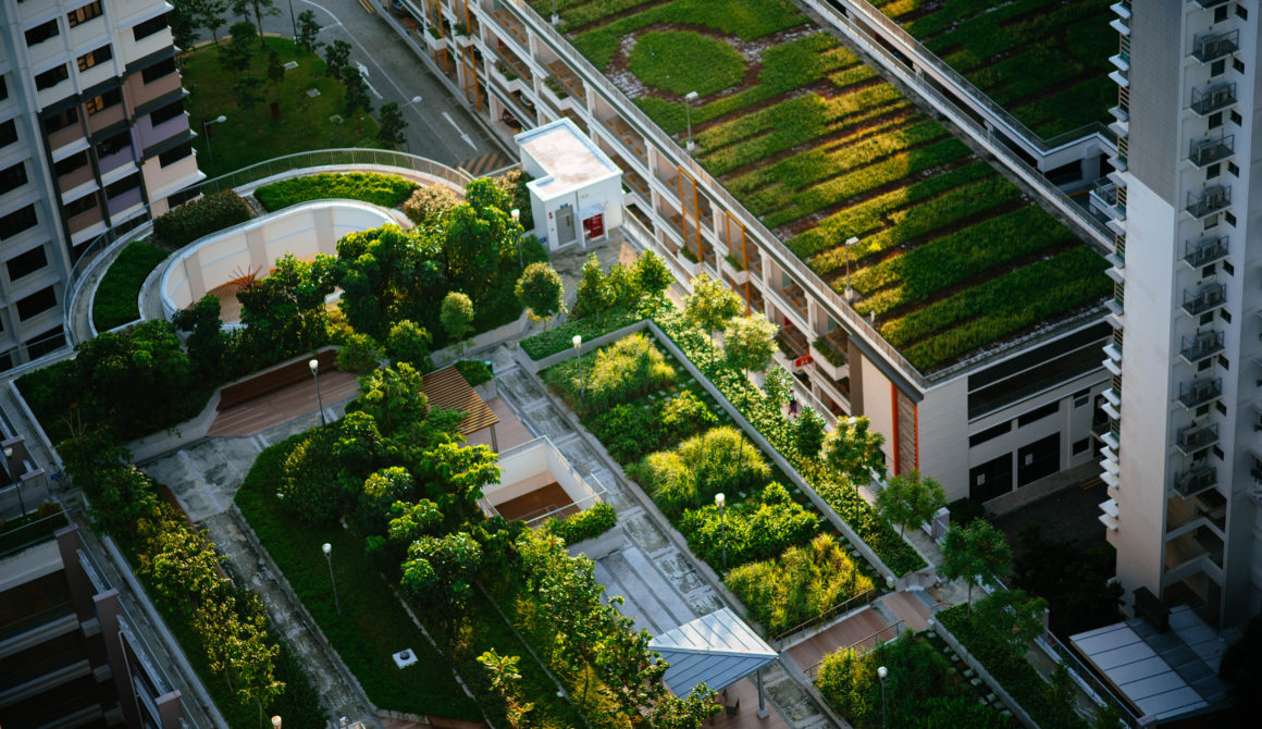 Interpolis Green Roofs